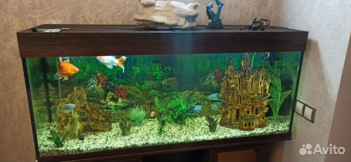 Аквариум