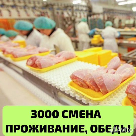 Выезд из Чебоксар, вахта Нижний Новгород упаковщик