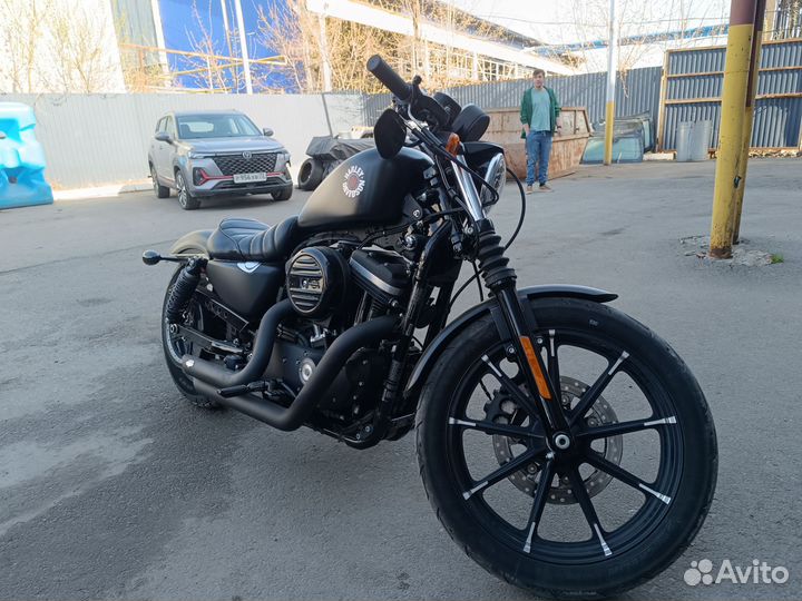 Harley Davidson Sportster 883 iron