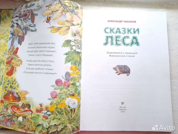 Книжка 
