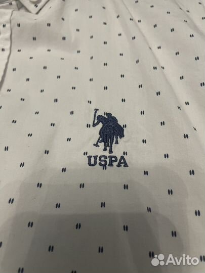 Рубашка us polo мужская