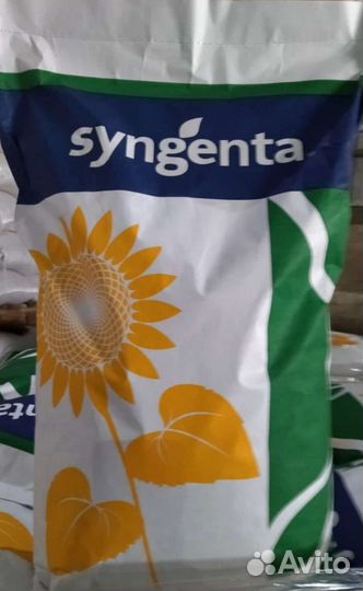 Семена подсолнечника гибрид Алькантара