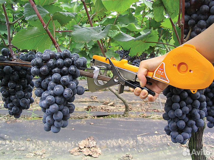 Подвязчик для растений