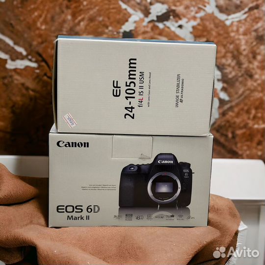 Canon EOS 6D Mark II Body + Canon EF 24-105mm f/4