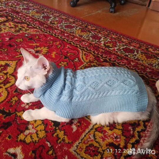 Одежда для собак и кошек