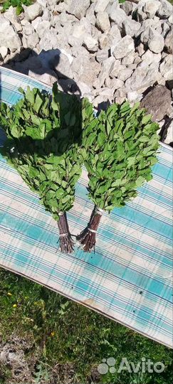 Плотные Веники для бани