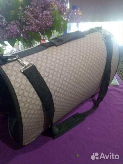 Переноска для кошек. Аренда