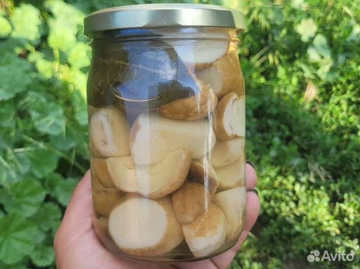 Белые грибы,лисички,маслята маринованные. Доставка