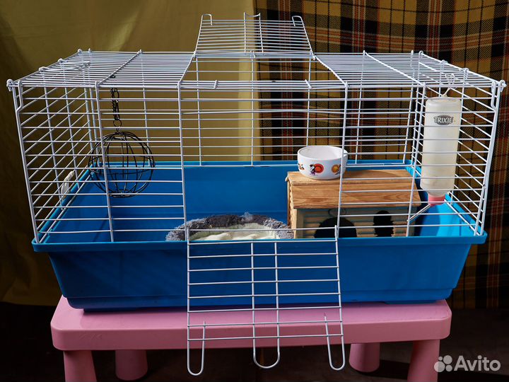 Клетка для морской свинки морских свинок ежа
