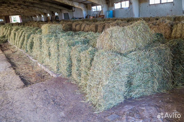 Сено и солома в кипах