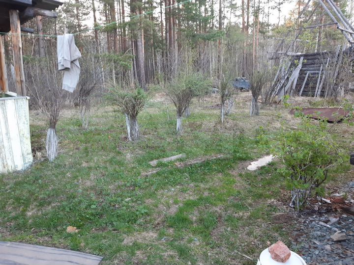 Дача 36 м² на участке 10 сот.