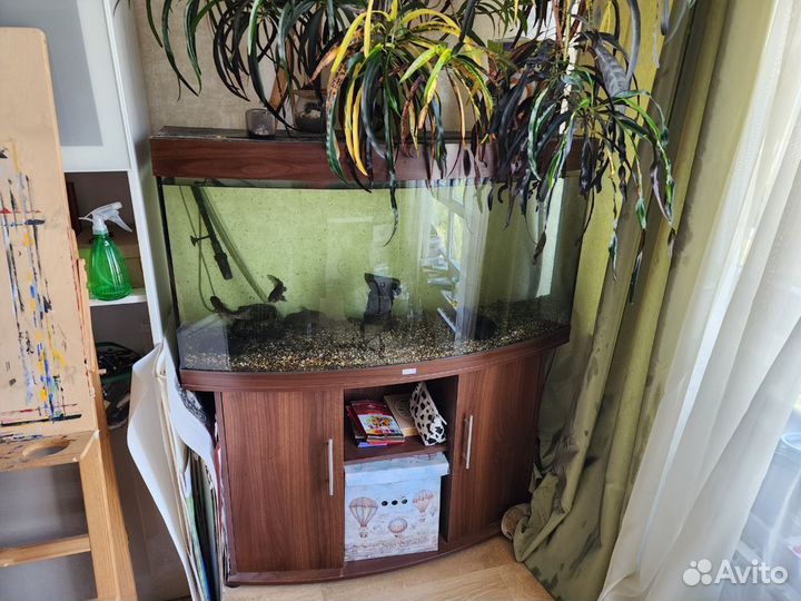 Аквариум с тумбой Juwel Vision