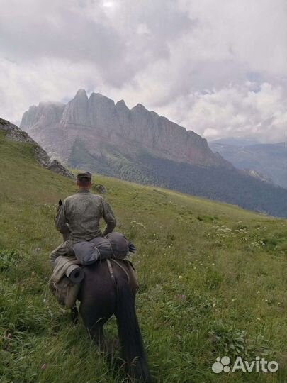 Заброска в горы Аренда лашадей, конные прогулки