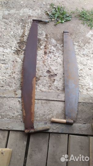 Пила дружба