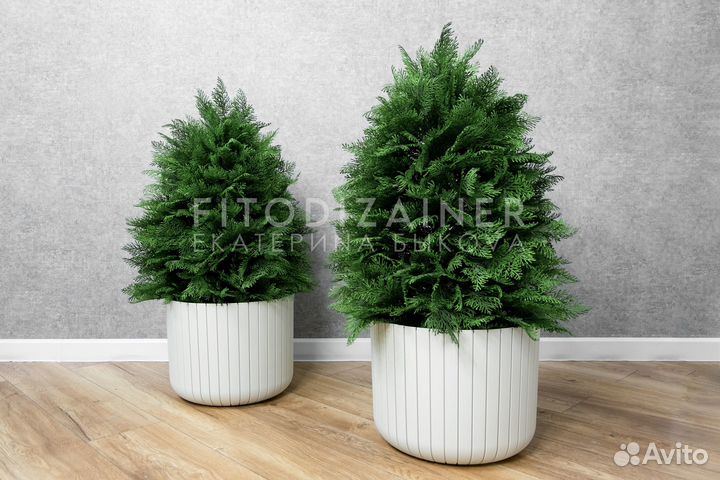 Искусственное дерево Туя, бонсай