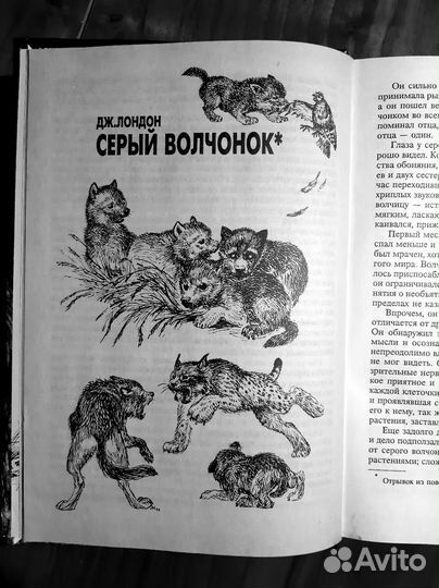 Книга Собаки Волки. Перевёртыш