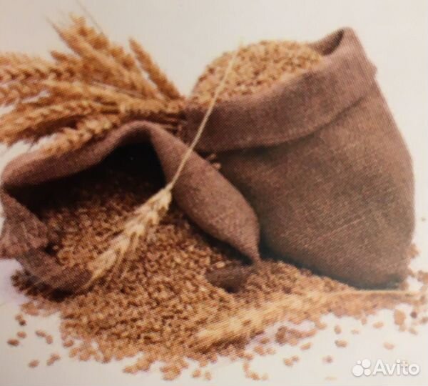 Комбикорм и корм для с/х животных