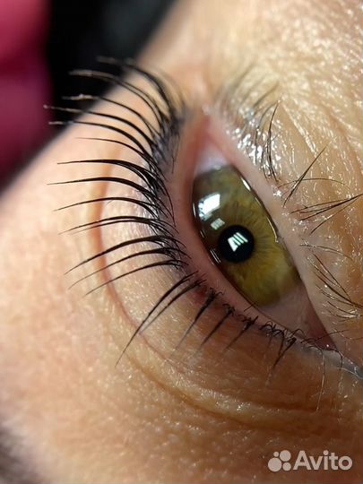 Брови, Броволог,Ламинирование ресниц,Обучение