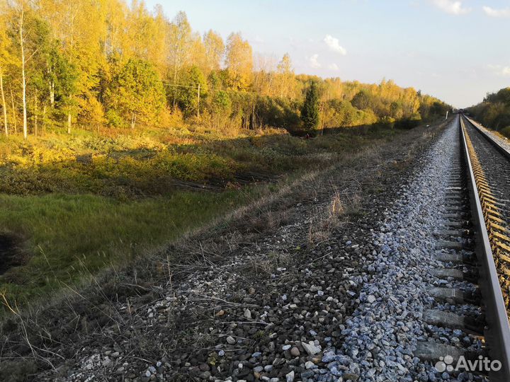 Разнорабочий с ежедневной оплатой