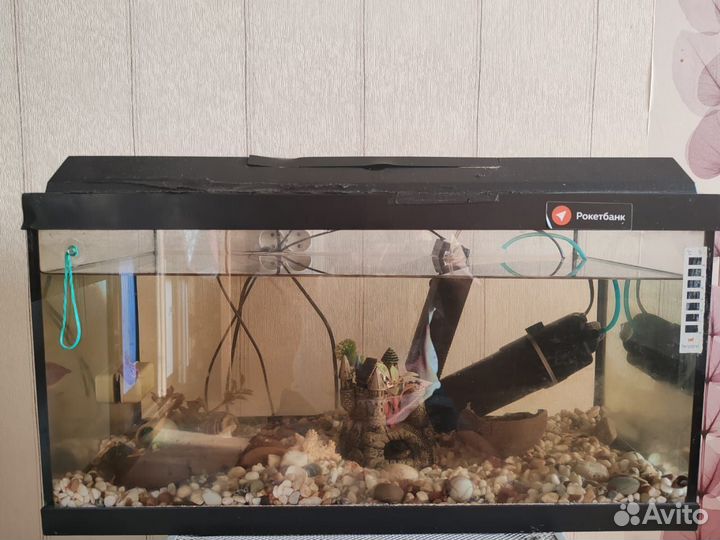 Аквариум с рыбками
