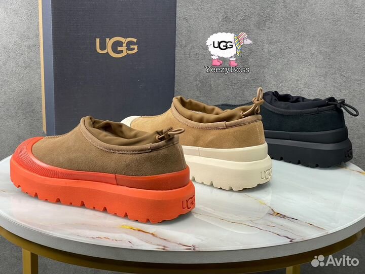 Ботинки женские зимние Ugg Tasman Hybrid