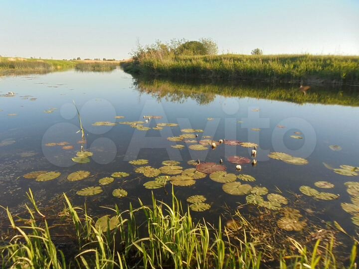 Участок 3 га (СНТ, ДНП)