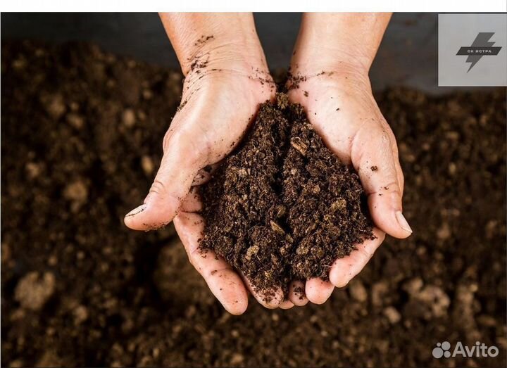 Торф перегной