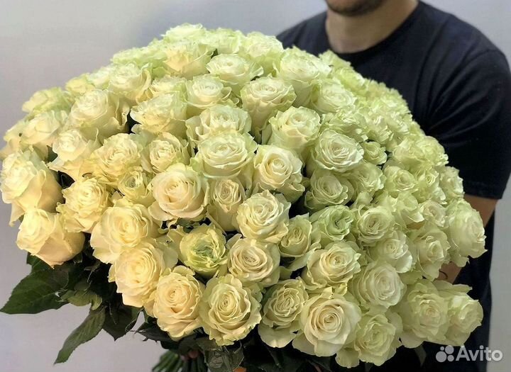 Высокие розы Гигантские Розы 150 160 170 180 190см