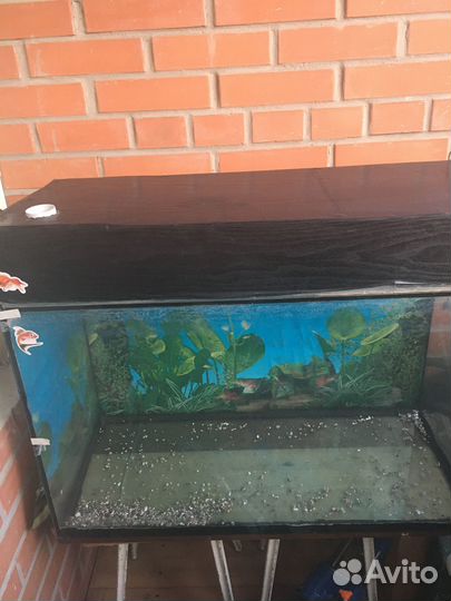 Продам аквариум