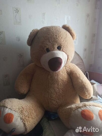 Плюшевый медведь