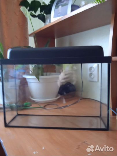 Аквариум