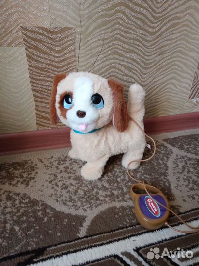 Интерактивная собака