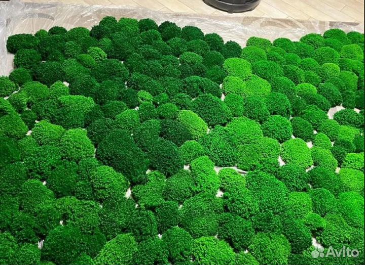 Ягель кочки мох стабилизированный