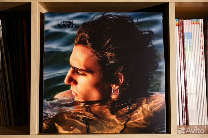 Tamino - Amir (2LP)