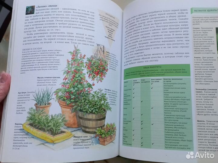 Книга дивный сад