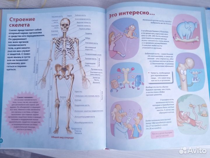 Детская энциклопедия