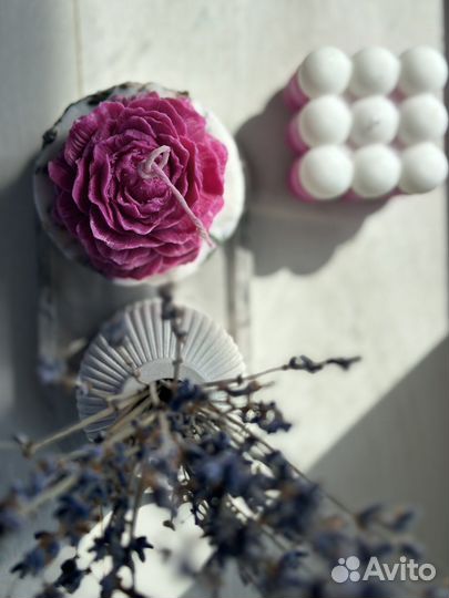 Ботаническая свеча