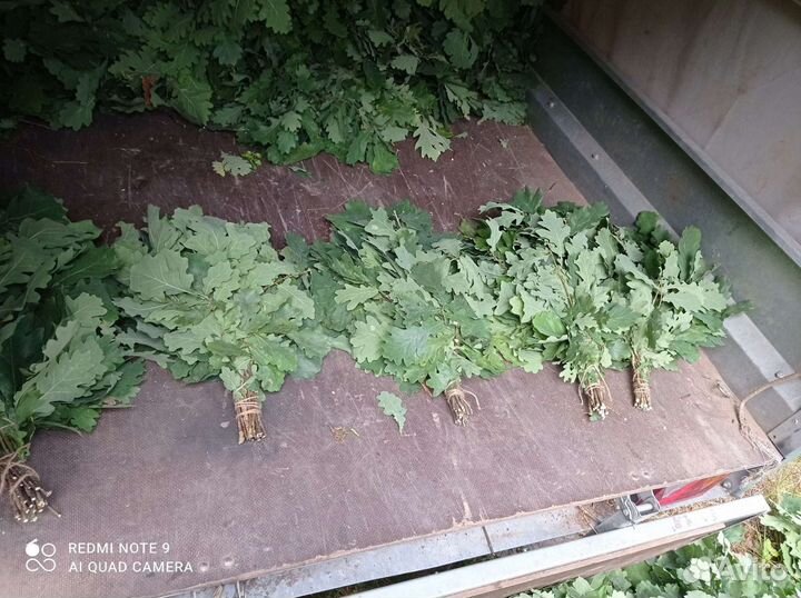 Банные веники дуб, береза