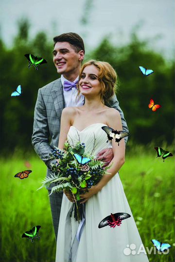 Салют из Живых Тропических Бабочек с/б-9