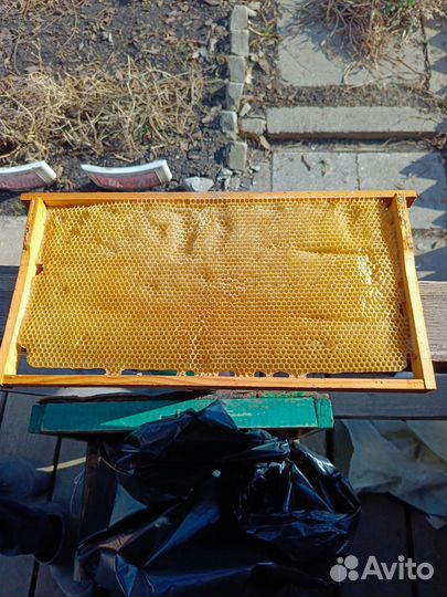 Рамки сушь рутовские