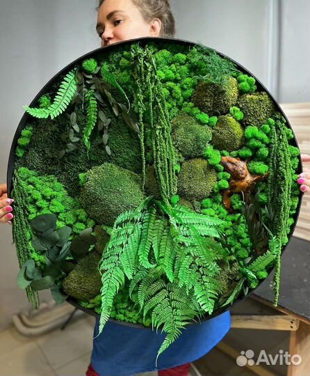 Панно из стабилизированного мха