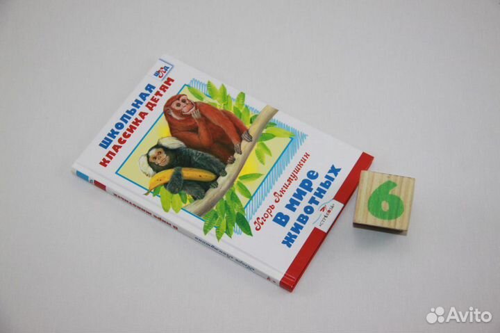 Инкарнация Вики