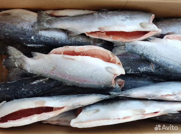 Продукты питания