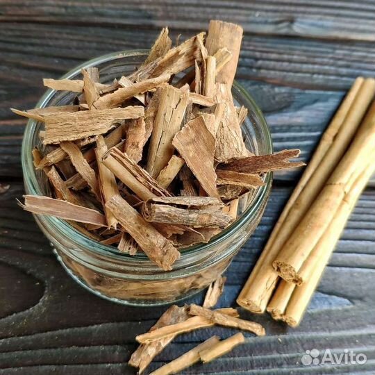 Корица Цейлонская (Шри-ланка)