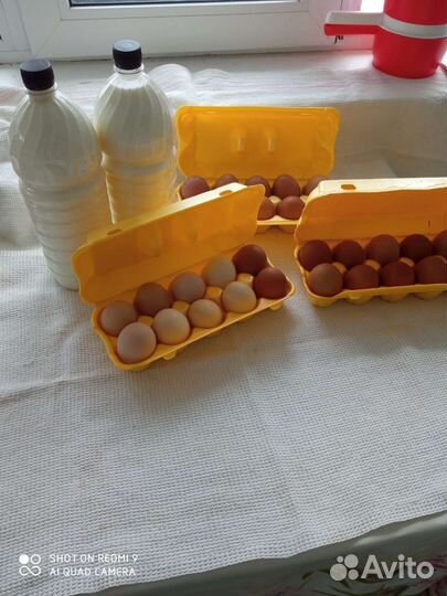 Деревенское молоко с доставкой