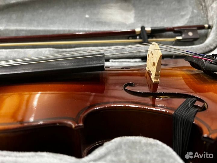 Скрипка 1/2