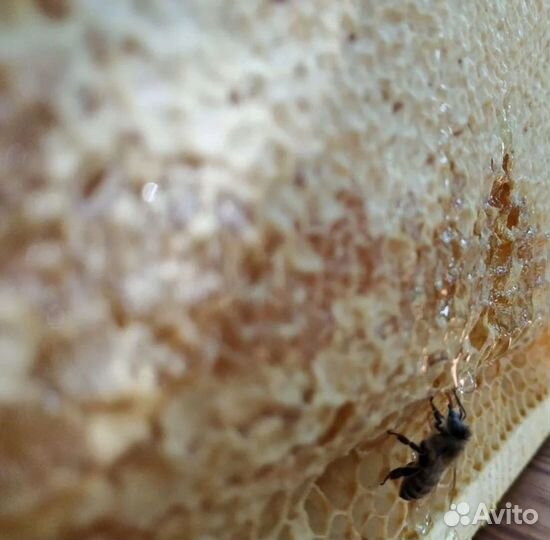 Мёд липовый чистый 2022 г (гш213)