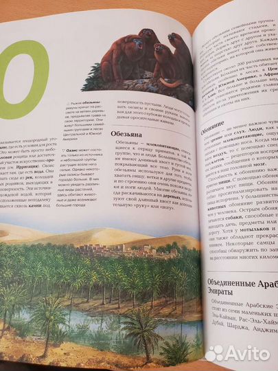 Энциклопедия 