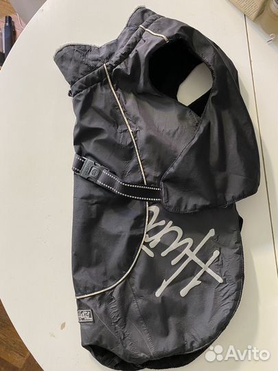 Дождевик на доставке