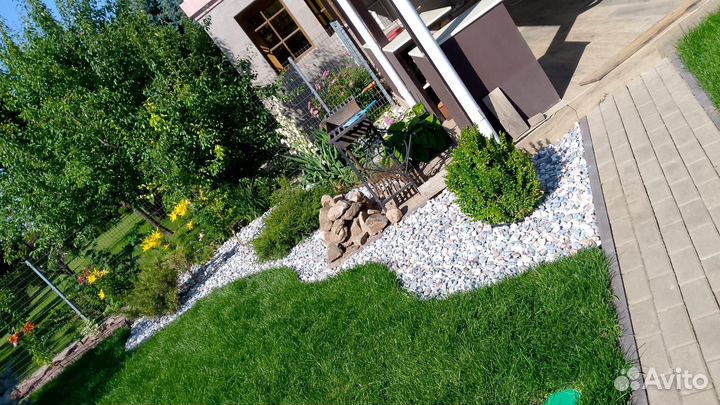 Газон рулонный